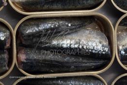 Image du Maroc Professionnelle de  Mise en boite des sardines fraiches dans une conserverie à Agadir, ville située au sud du Maroc, Vendredi 23 Août 2002. (Photo / Abdeljalil Bounhar)